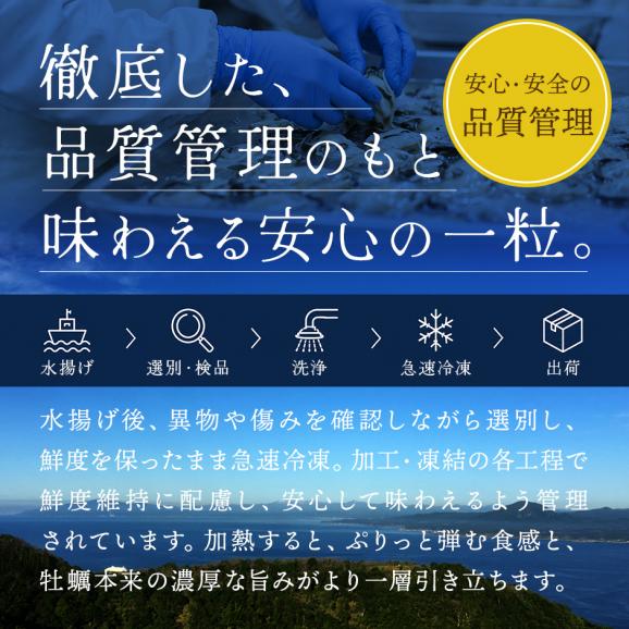 北海道 知内産 剥き身牡蠣 300g 殻剥き不要04