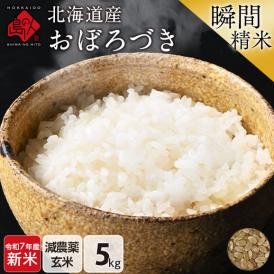 【新米】令和7年度産 米 北海道産 おぼろづき 5kg【玄米】