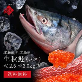 日本最北の鮭 礼文島産 生秋鮭 メス (生筋子入り) 2.5〜3.0kg前後【送料無料】