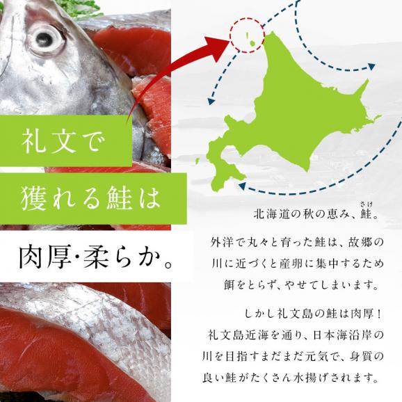 北海道 礼文島産 生 秋鮭 オス 2.5〜3.0kg前後 (姿)【送料無料】02