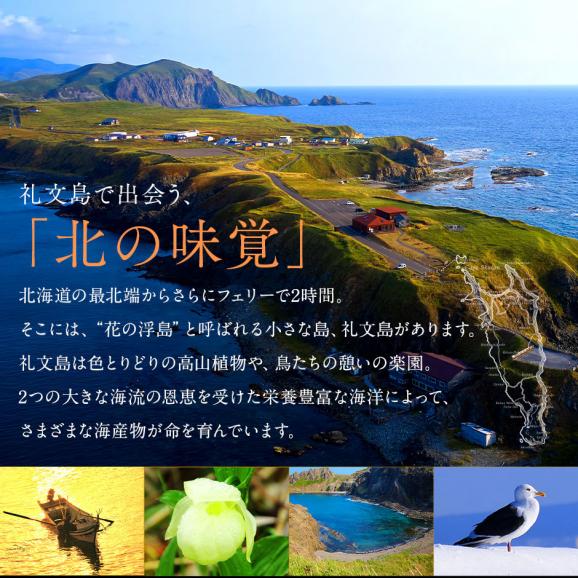 北海道 礼文島産 生 秋鮭 オス 2.5〜3.0kg前後 (姿)【送料無料】03