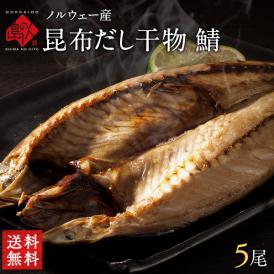 ノルウェー産 生干し昆布干物　開き鯖(サバ) 5尾【送料無料】