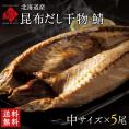 北海道標津産 鯖(サバ) 中サイズ 5尾【送料無料】