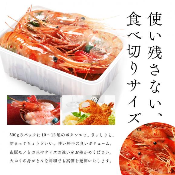ロシア産 ボタンエビ 500g(10-12尾前後)【送料無料】透き通る身と濃厚なエビ味噌 ぼたんえび お取り寄せグルメ えび エビ 冷凍 海老 刺身 ボタン03