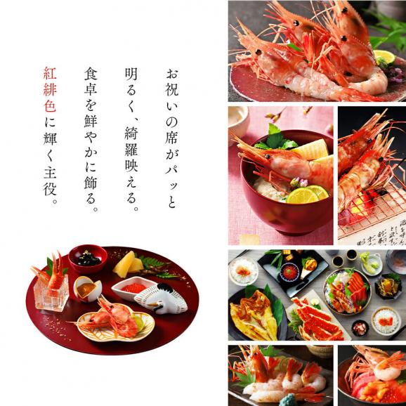 ロシア産 ボタンエビ 500g(10-12尾前後)【送料無料】透き通る身と濃厚なエビ味噌 ぼたんえび お取り寄せグルメ えび エビ 冷凍 海老 刺身 ボタン05