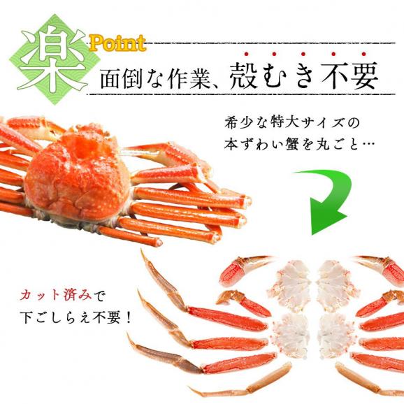 《生食可能》ズワイガニ ポーション 500g (20〜25本) 【送料無料】 かに カニ 蟹 ズワイ カニしゃぶ 蟹しゃぶ 刺身 グルメ 北海道 食品 食べ物 海鮮04
