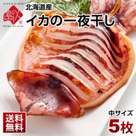 イカの一夜干し　中サイズ　5枚セット【送料無料】