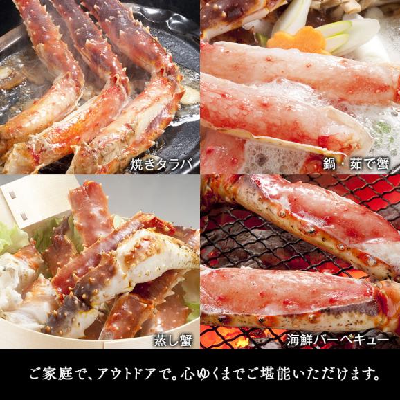 生タラバガニ 脚 シュリンク 900g前後(1肩) ギフト【送料無料】お取り寄せグルメ 蟹 タラバ蟹 タラバカニ 足 脚 海鮮 海産物03