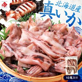 北海道産 真イカ(お手頃サイズ)(丸ごと)10尾入り