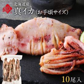 北海道産 真イカ(お手頃サイズ)（丸ごと）10尾入り