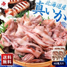 北海道産 真イカ(お手頃サイズ)（丸ごと）　10尾入り×4セット【送料無料】