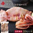 北海道産 真イカ(お手頃サイズ)（丸ごと）　10尾入り×4セット【送料無料】