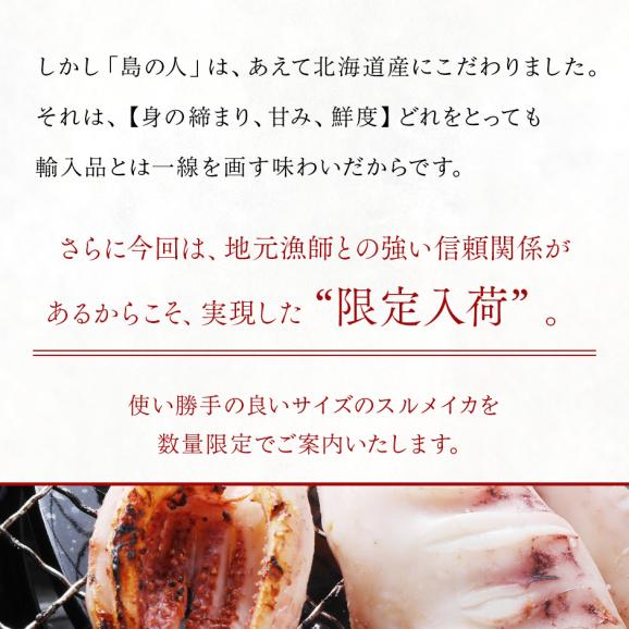 北海道産 真イカ(お手頃サイズ)（丸ごと）　10尾入り×4セット【送料無料】03