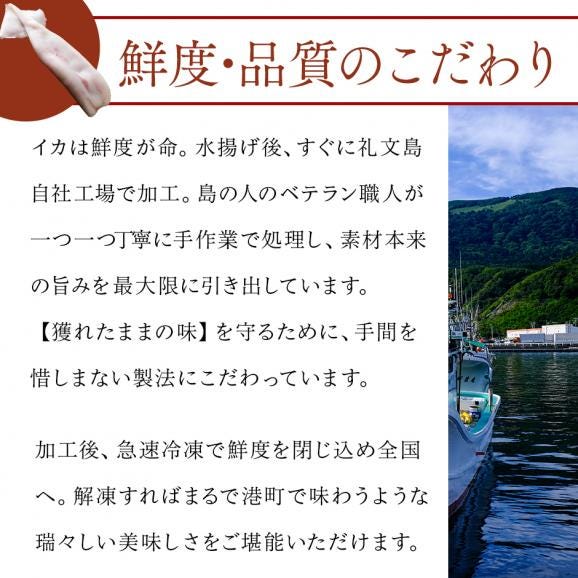 北海道産 真イカ(お手頃サイズ)（丸ごと）　10尾入り×4セット【送料無料】04