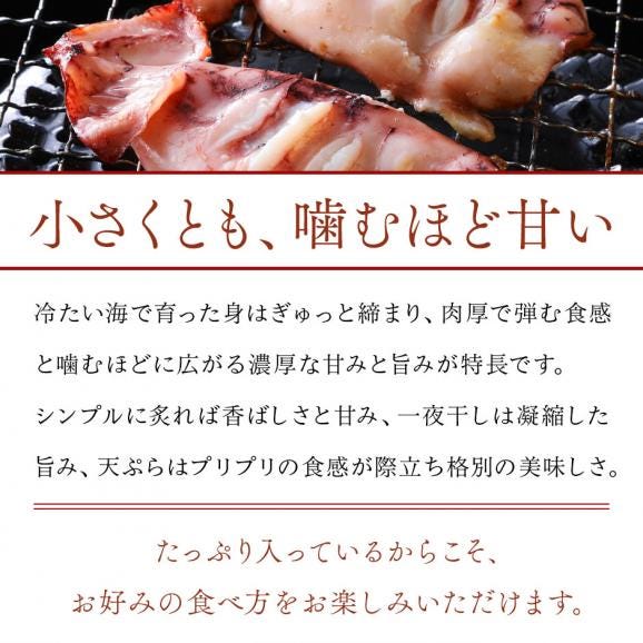 北海道産 真イカ(お手頃サイズ)（丸ごと）　10尾入り×4セット【送料無料】05