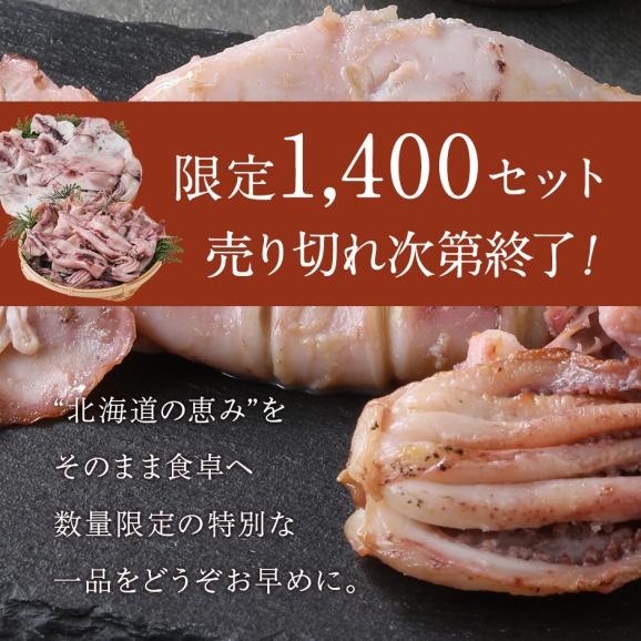 北海道産 真イカ(お手頃サイズ)（丸ごと）　10尾入り×4セット【送料無料】06