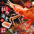 北海道産 ボタンエビ 500g(12-14尾前後)【送料無料】透き通る身と濃厚なエビ味噌 ぼたんえび お取り寄せグルメ えび エビ 冷凍 海老 刺身 ボタン