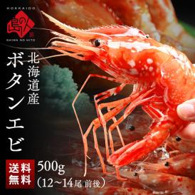北海道産 ボタンエビ 500g(12-14尾前後)【送料無料】透き通る身と濃厚なエビ味噌 ぼたんえび お取り寄せグルメ えび エビ 冷凍 海老 刺身 ボタン