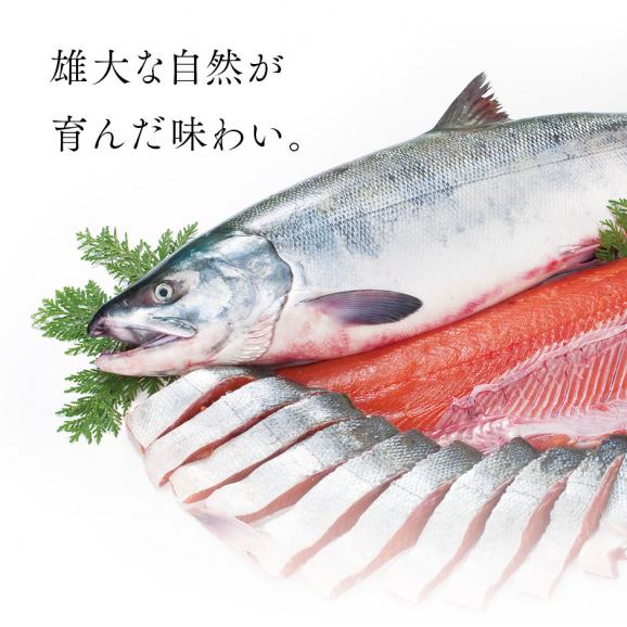 北海道産 生時鮭(トキシラズ) お刺身 300g(150g前後×2)02
