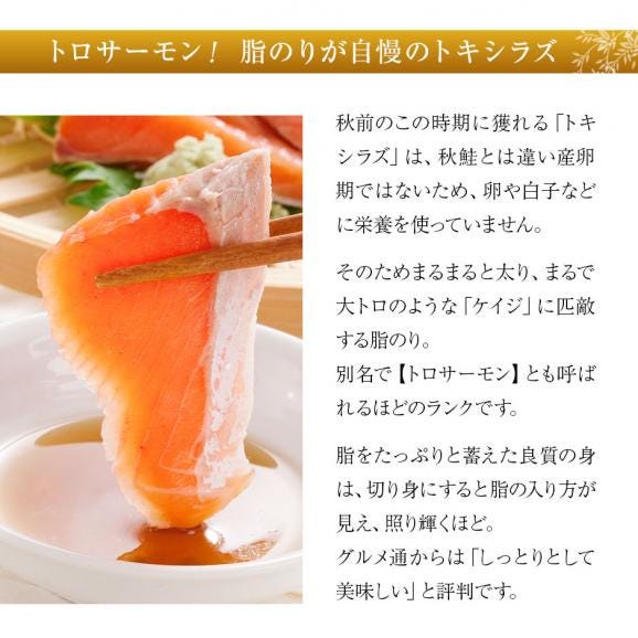 北海道産 生時鮭(トキシラズ) お刺身 300g(150g前後×2)04