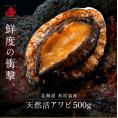 北海道 利尻島産 天然活アワビ計500g（5個前後入り）