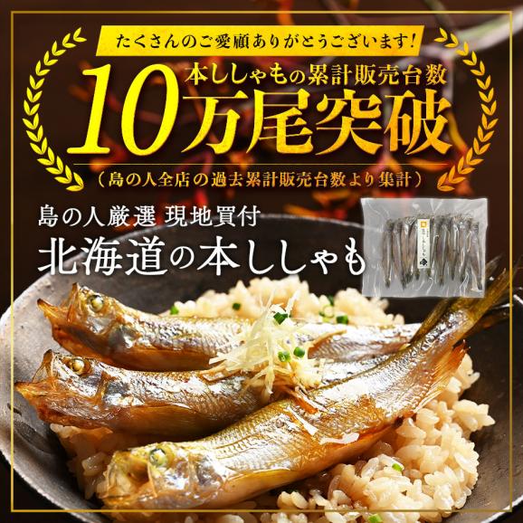 【肉厚・濃厚】北海道産 本ししゃも オス 40尾入り【送料無料】02