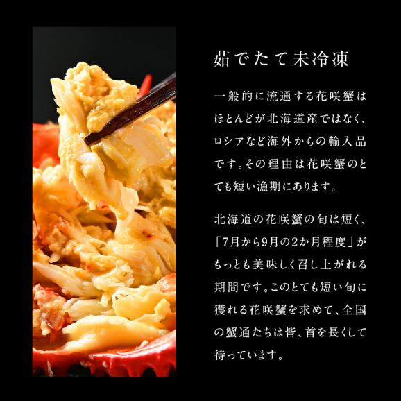 北海道 根室産 花咲ガニ(姿) 550g前後×2【送料無料】05