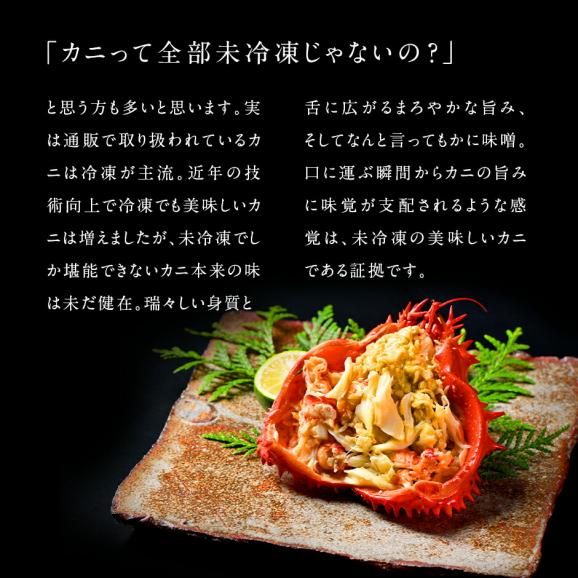 北海道 根室産 花咲ガニ(姿) 370g前後×3【送料無料】06