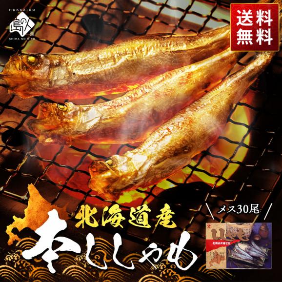 【肉厚・濃厚】北海道産 本ししゃも メス 30尾入り【送料無料】01