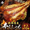 【肉厚・濃厚】北海道産本ししゃも オス 10尾