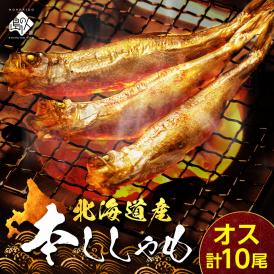 【肉厚・濃厚】北海道産本ししゃも オス 10尾
