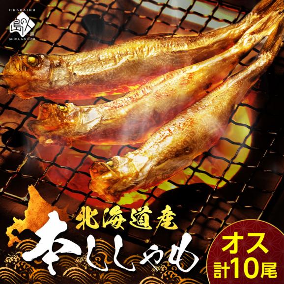 【肉厚・濃厚】北海道産本ししゃも オス 10尾01