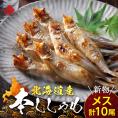 【肉厚・濃厚】北海道産本ししゃも メス 10尾