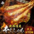 【肉厚・濃厚】北海道産本ししゃも メス 10尾