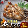 【肉厚・濃厚】北海道産本ししゃも オス 30尾(10尾×3)【送料無料】