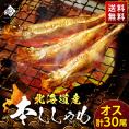 【肉厚・濃厚】北海道産本ししゃも オス 30尾（10尾×3）【送料無料】