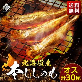 【肉厚・濃厚】北海道産本ししゃも オス 30尾（10尾×3）【送料無料】