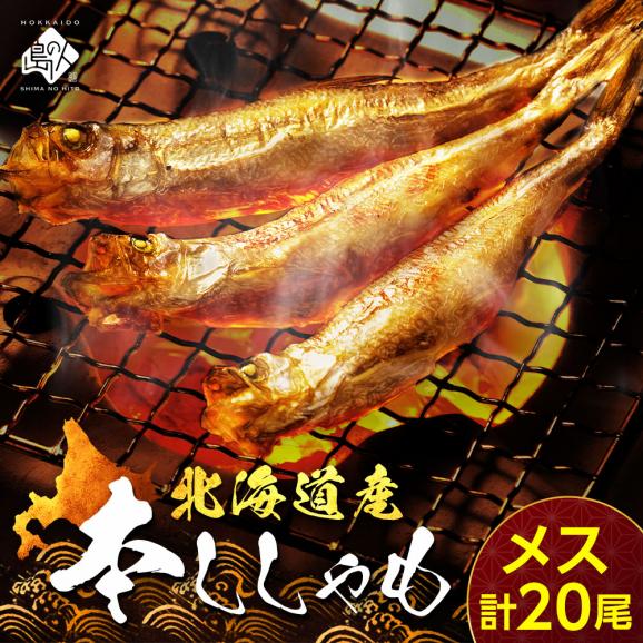 【肉厚・濃厚】北海道産本ししゃも メス 20尾(10尾×2)【送料無料】01