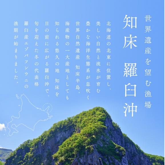 北海道 知床・羅臼産 生折エゾバフンウニ 黄色(オス) 120g(ウニ丼大盛1杯分) 折詰【送料無料】02