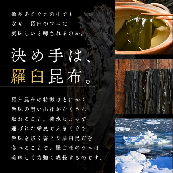 北海道 知床・羅臼産 生折エゾバフンウニ 黄色(オス) 120g(ウニ丼大盛1杯分) 折詰【送料無料】03