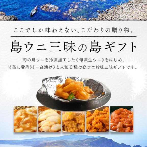 【新商品】島雲丹セレクション 高級ウニ6種セット02