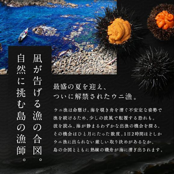 うに 北海道 礼文・利尻島産 生キタムラサキウニ 270g【送料無料】北海道 生うに 塩水 パック 雲丹 ムラサキ 海鮮 海産物 食べ物 食品 お取り寄せグルメ ミョウバン不使用02