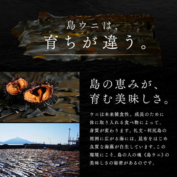 うに 北海道 礼文・利尻島産 生エゾバフンウニ 240g【送料無料】北海道 生うに 塩水 パック 雲丹 バフンウニ 海鮮 海産物 お取り寄せグルメ ミョウバン不使用04