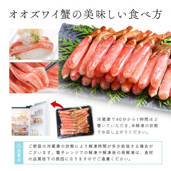 《生食可能》北海道産 オオズワイガニ ポーション 500g (31~40本) 【送料無料】 かに カニ 蟹 オオズワイ カニしゃぶ 蟹しゃぶ 刺身 グルメ 北海道 食品 食べ物 海鮮06