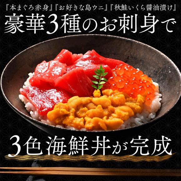 海鮮丼 素材にこだわる海鮮3種丼セット【送料無料】礼文島産 キタムラサキウニ＋北海道松前産本まぐろ赤身＋北海道 斜里産 鮭イクラ02