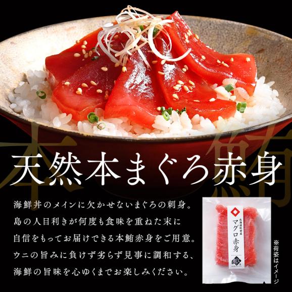 海鮮丼 素材にこだわる海鮮2種丼セット【送料無料】礼文島産 キタムラサキウニ+北海道松前産本まぐろ赤身03