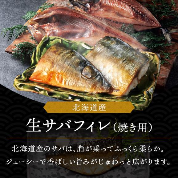 北海道産 さばフィレ 100g&times;10枚【送料無料】02