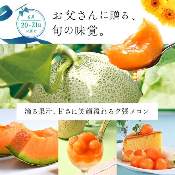 【6月20日~21日お届け】【父の日メロン】夕張メロン 1.3kg(1玉) 共撰優品(糖度11%以上)【送料無料】【ご贈答向け】02