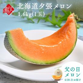 【6月20日～21日お届け】【父の日メロン】夕張メロン 1.6kg(1玉) 共撰優品(糖度11％以上)【送料無料】【ご贈答向け】