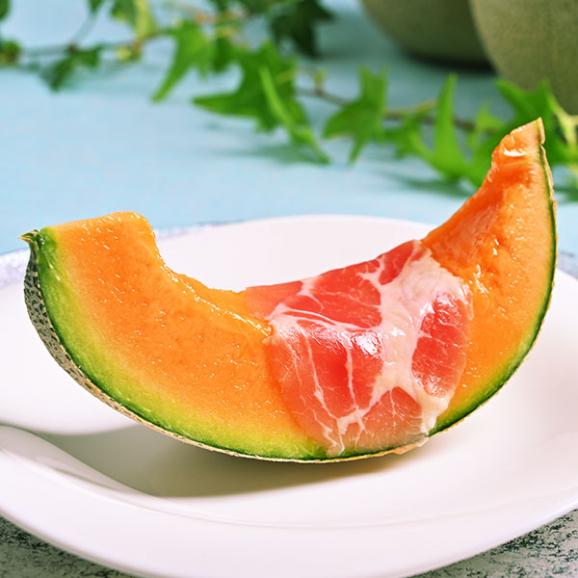 【6月20日~21日お届け】【父の日メロン】夕張メロン 1.6kg(1玉) 共撰優品(糖度11%以上)【送料無料】【ご贈答向け】05